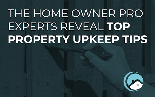 home-owner-pro-experts-reveal-top-property-upkeep-tips